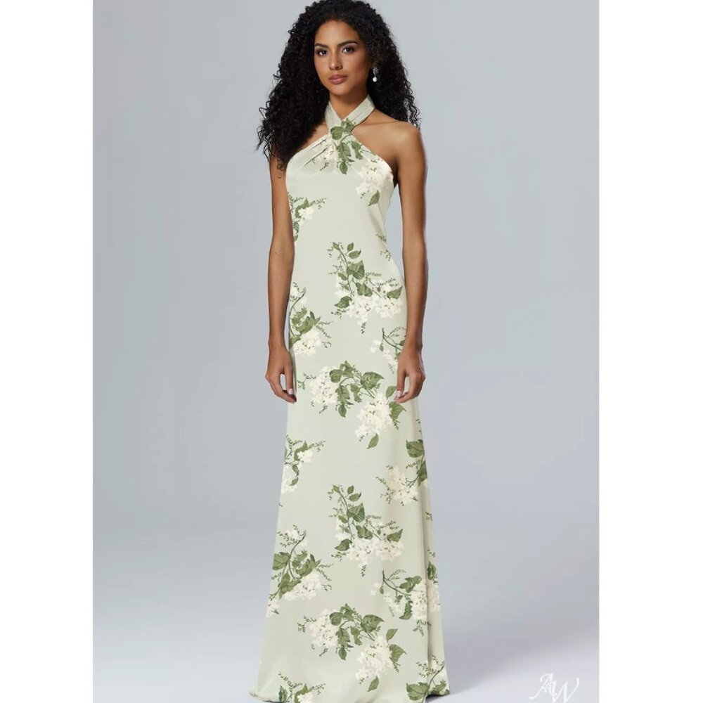 AW Serena Dress size 2